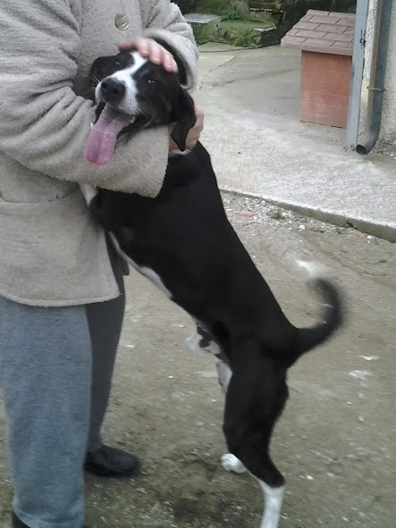 GEPPINO, un tesoro in cerca di casa - Foto 2