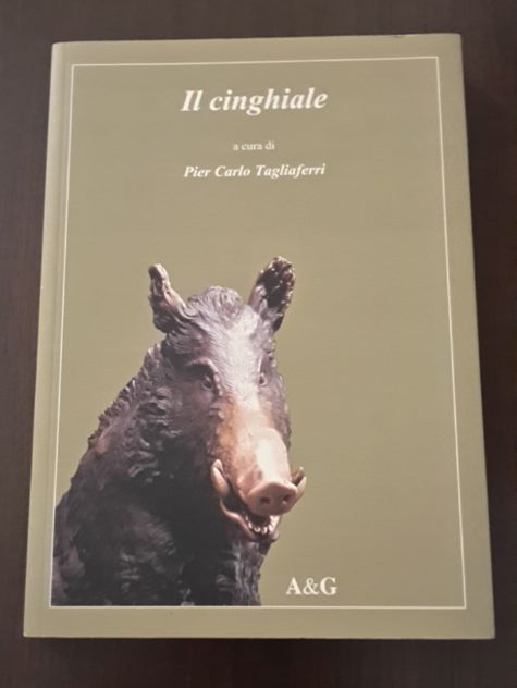 Il cinghiale, Pier Carlo Tagliaferri, A&amp;G Maggio 2004. - Foto 7