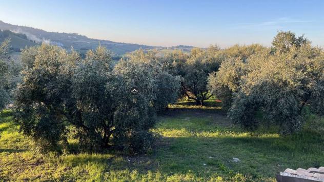 Cartoceto non lontano dal piccolo borgo medievale, in posizione elevata, dominante sull'intera vallata, facilmente raggiungibile dalle principali vie - Foto 4