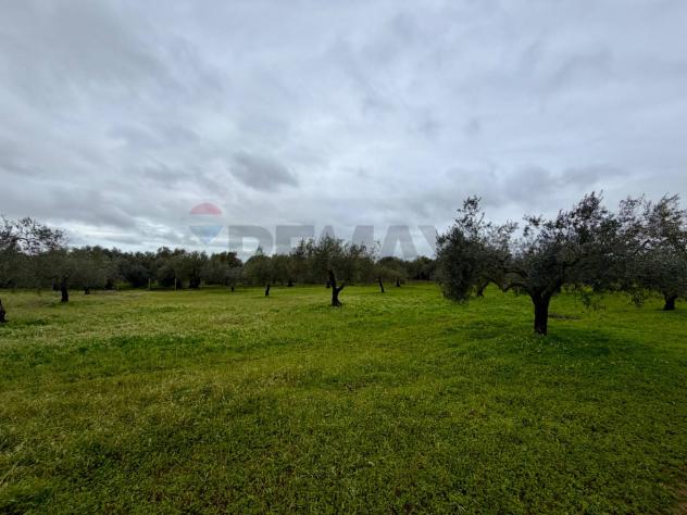 Terreno in vendita a Chiaramonte Gulfi - Foto 11