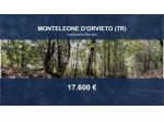 Immobile in asta di 81963 m² in vendita a Monteleone d'Orvieto