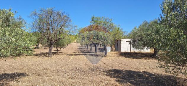 Terreno in vendita a Noto - Foto 8