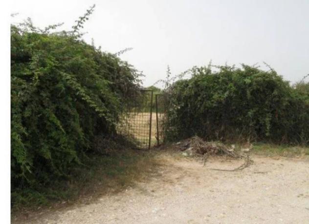 Immobile in asta di 1248 m² in vendita a Santa Marinella - Foto 3