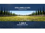 Immobile in asta di 12480 m² in vendita a Stellanello