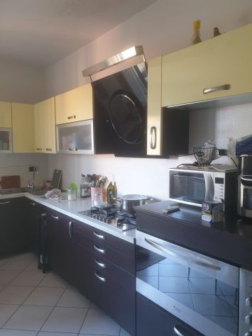 Affitto appartamento