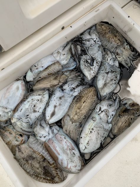 uscite di pesca in barca - charter di pesca liguria - Foto 4