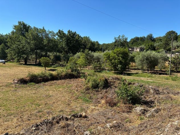 ANTICO FABBRICATO RURALE CON TERRENO - CASTELFORTE - Rif. V3154 - Foto 6