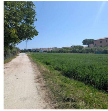 Immobile in asta di 2240 m² in vendita a Corridonia - Foto 9