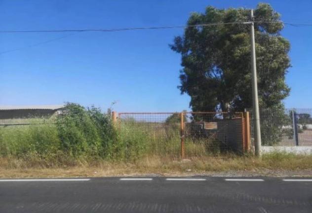 Immobile in asta di 89313 m² in vendita a Fiumicino - Foto 5