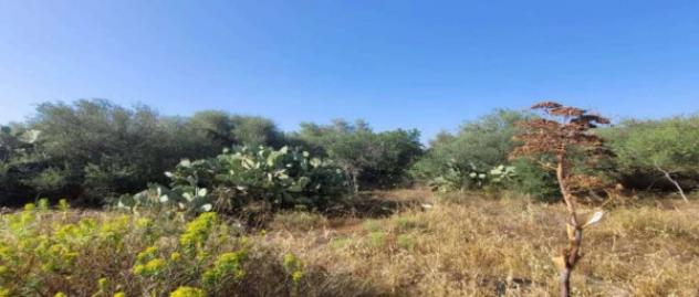 Immobile in asta di 584352 m² in vendita a Ispica - Foto 16