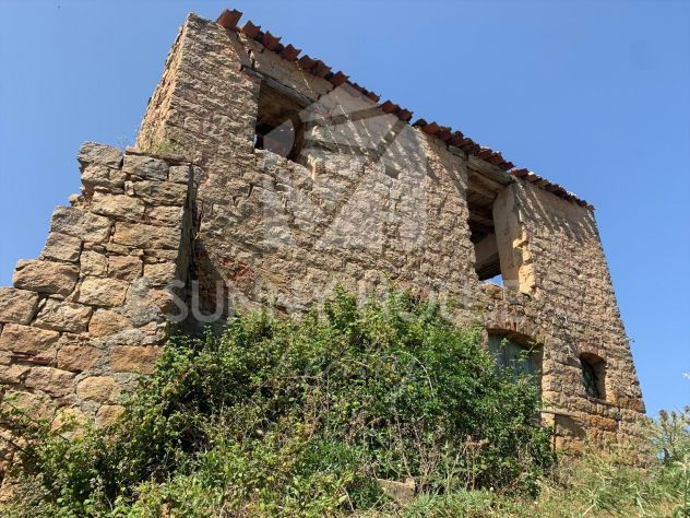 terreno con ruderi e uliveto- ideale per agriturismo o Resort nelle Madonie - Foto 5