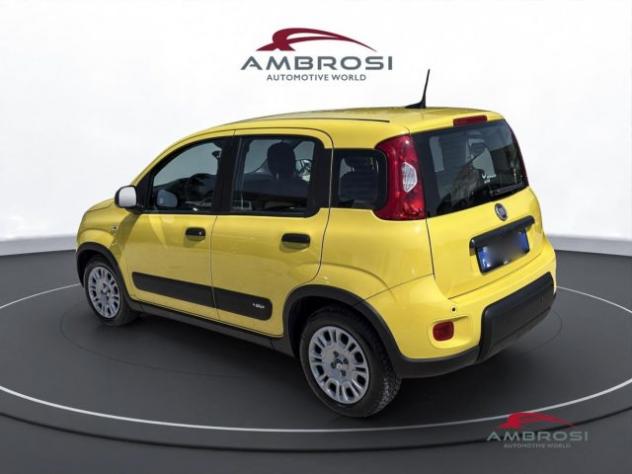 FIAT Panda 1.0 firefly hybrid s&s 70cv rif. 23998765 - Foto 4