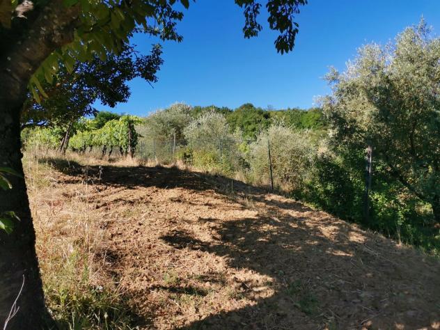 Terreno agricolo in vendita a Poggibonsi 7700 mq Rif: 1403716 - Foto 10