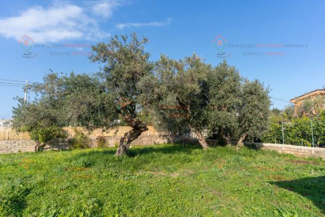 Terreno edificabile in vendita a Siracusa - Foto 14