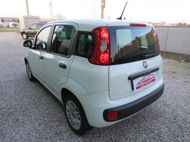FIAT Panda 1.2 Easy S&S 1200 C.C. rif. 23513160 - Foto 8