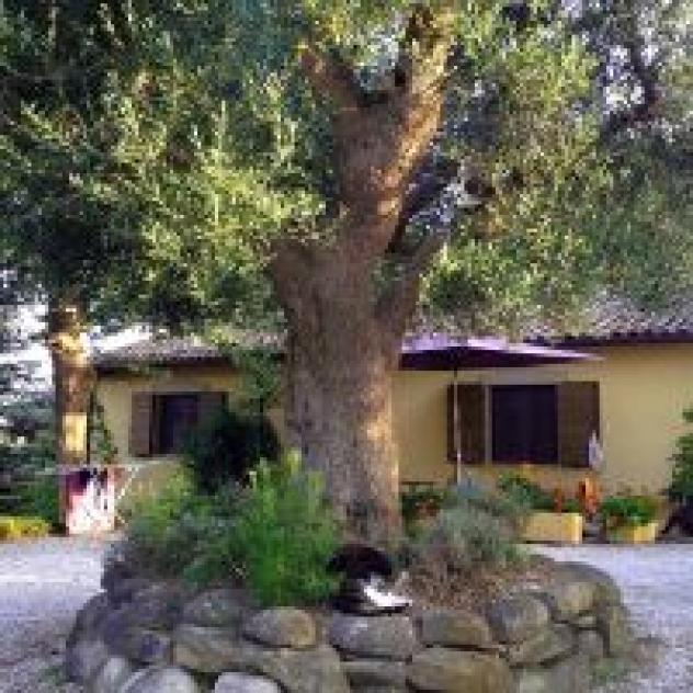 B&B La Foresteria
