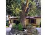 B&B La Foresteria