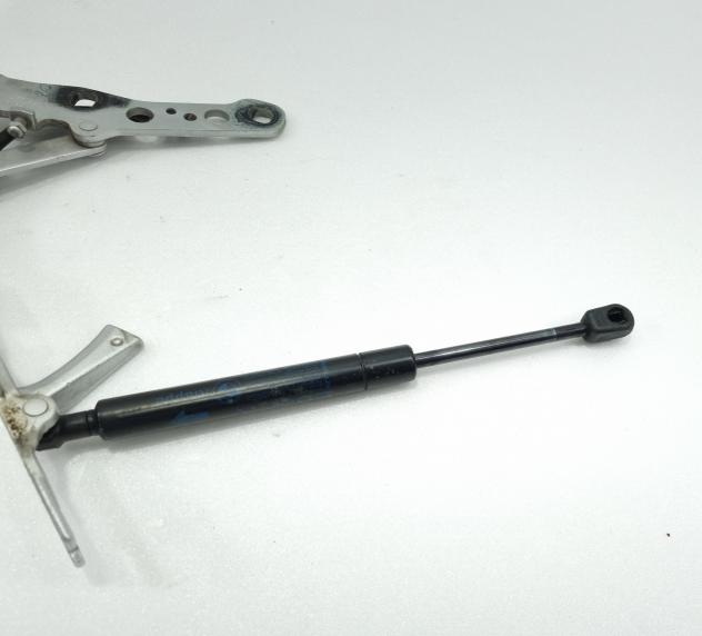 CERNIERE COFANO ANTERIORE DX E SX BMW X3 1° Serie 3411448 (0410) - Foto 15