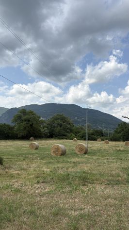 Terreno agricolo 12.000 mq con fronte strada - Foto 3