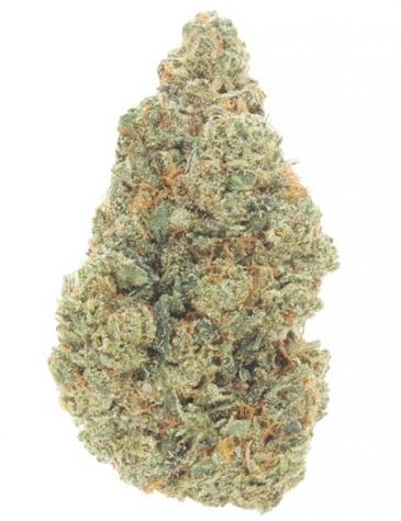 Girl Scout Cookies