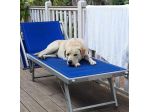 Splendido simil Labrador 4anni da Milano purtroppo è TORNATO IN SICILIA!!!!!