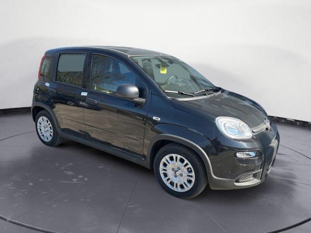 FIAT Panda 1.0 firefly hybrid s&s 70cv - Foto 8