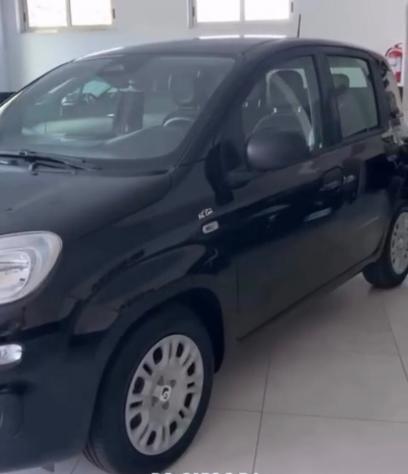 Fiat Panda Pandina 1.0 FireFly 65 CV Hybrid Icon - Foto 3