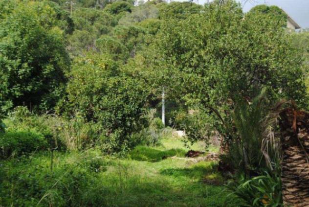 Immobile in asta di 17480 m² in vendita a Villacidro - Foto 4