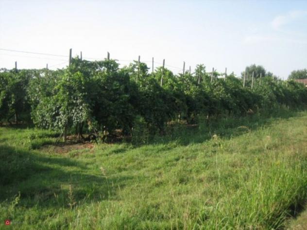 Terreno agricolo in Vendita in Via Carpi Ravarino 619 a Soliera - Foto 5