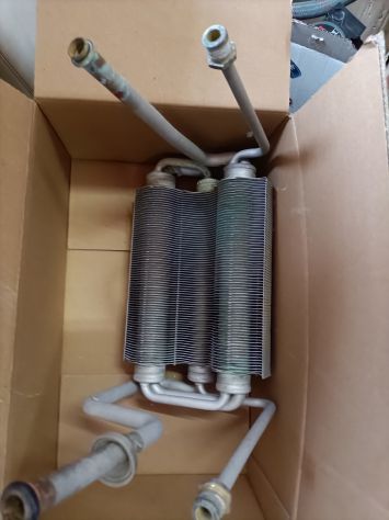 scambiatore Ferroli domina