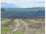 Immobile in asta di 43400 m² in vendita a Altomonte
