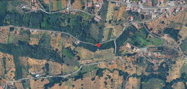 Immobile in asta di 2083 m² in vendita a Montalto Uffugo - Foto 12