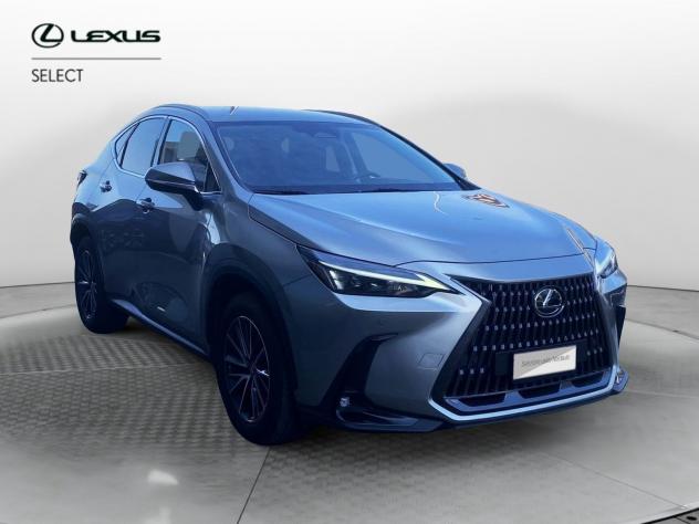 Lexus NX Hybrid 4WD Premium - Foto 2
