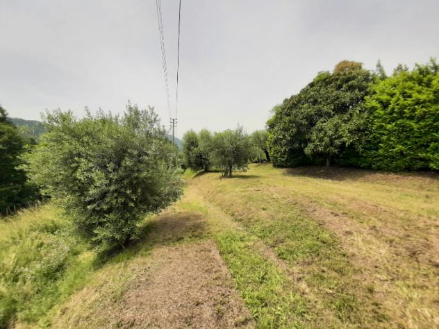 Terreno Agricolo - Roè Volciano . Rif.: 001 TA Trobiolo - Foto 6