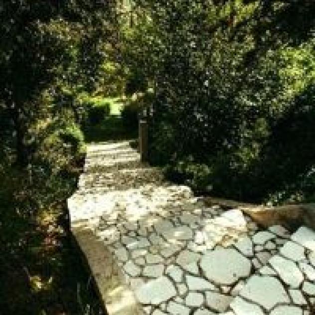 Raccichini Anna Maria - Foto 3