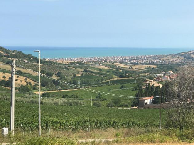 Agricolo in vendita a Colonnella - Foto 11
