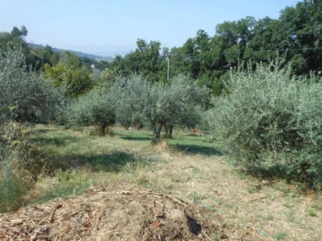 Immobile in asta di 11994 m² in vendita a Foligno - Foto 3