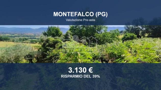 Immobile in asta di 5380 m² in vendita a Montefalco