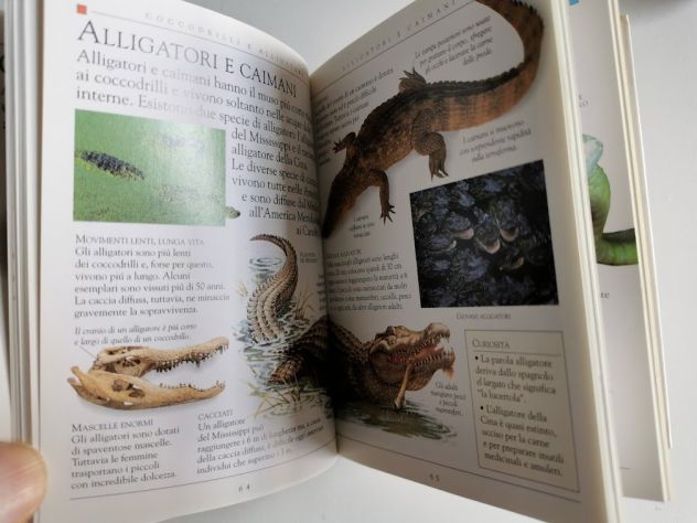 LIBRO ( BIBLIOTECA - RETTILI ) - Foto 5