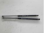PISTONCINI COFANO POST. NISSAN Qashqai 2° Serie (1013)