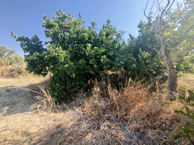 Terreno in vendita a Siracusa, Tremmilia - Foto 8
