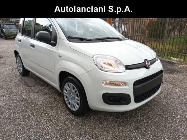 FIAT Panda 1000 HYBRID PANDINA POP 70CV ITALIA rif. 23999463