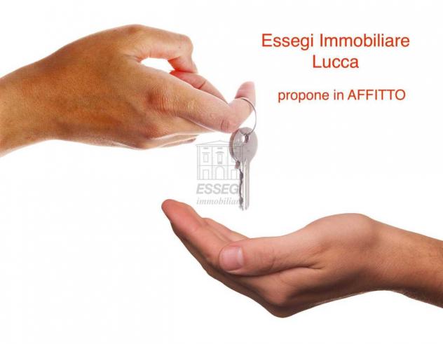 Appartamento in vendita a Lucca - Foto 14