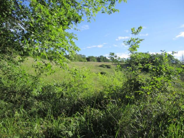 Casa di campagna in Località Penna-Molino - Foto 15