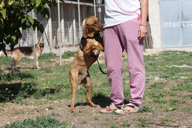 Ehi tu, si proprio tu, mi porti nella tua vita? non te ne pentirai !! - Foto 3