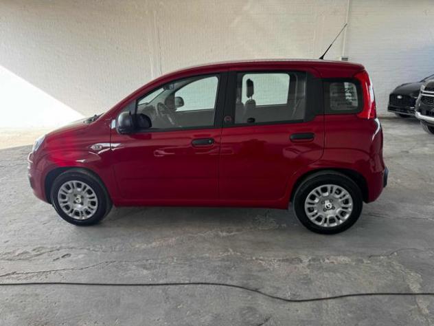 FIAT Panda 1.0 FireFly S&S Hybrid Icon rif. 24000249 - Foto 8