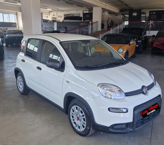 FIAT Panda Panda 1.0 hybrid s&s 70cv 5p.ti