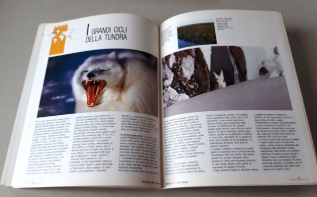 Videoenciclopedia della natura - Foto 10