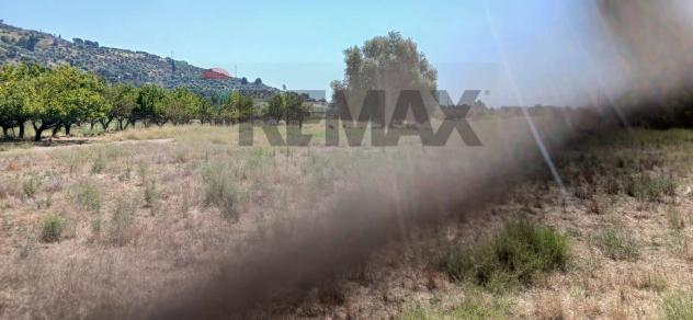 Terreno in vendita a Calatabiano - Foto 11