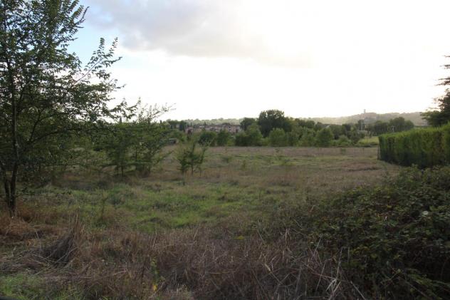 Terreno agricolo in vendita a Colle di Val d'Elsa 39460 mq Rif: 1339345 - Foto 3